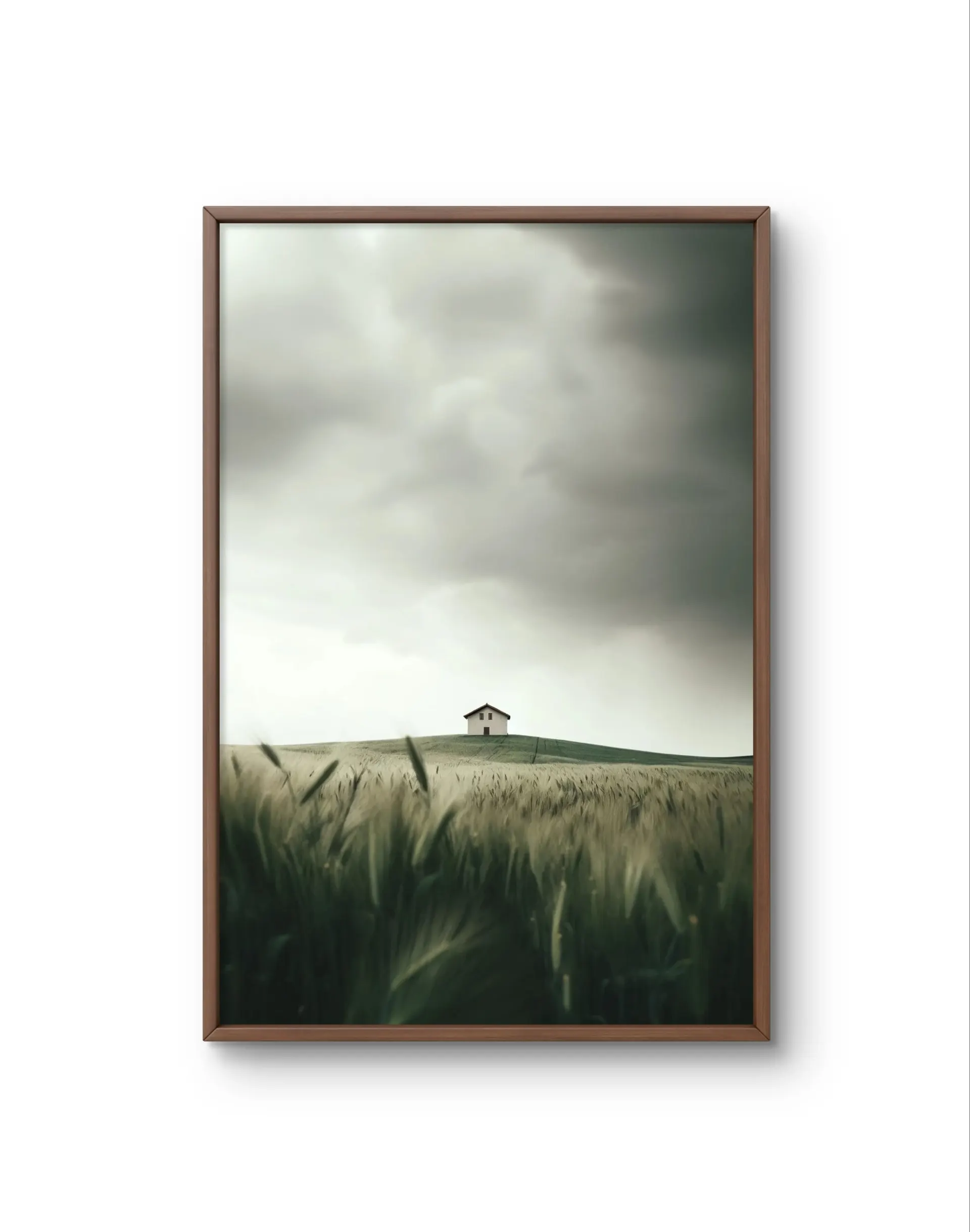 Bellucci - Solitude on the Hill — Fotografia fina impressão de arte por Bellucci