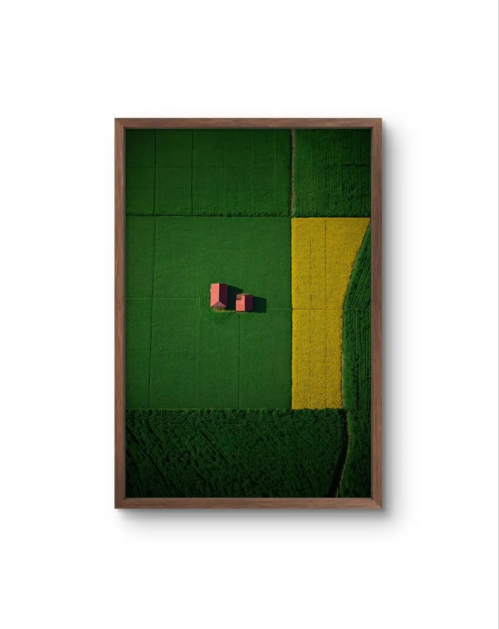 Bellucci - The Red Houses in a Sea of Green — Fotografia fina impressão de arte por Bellucci