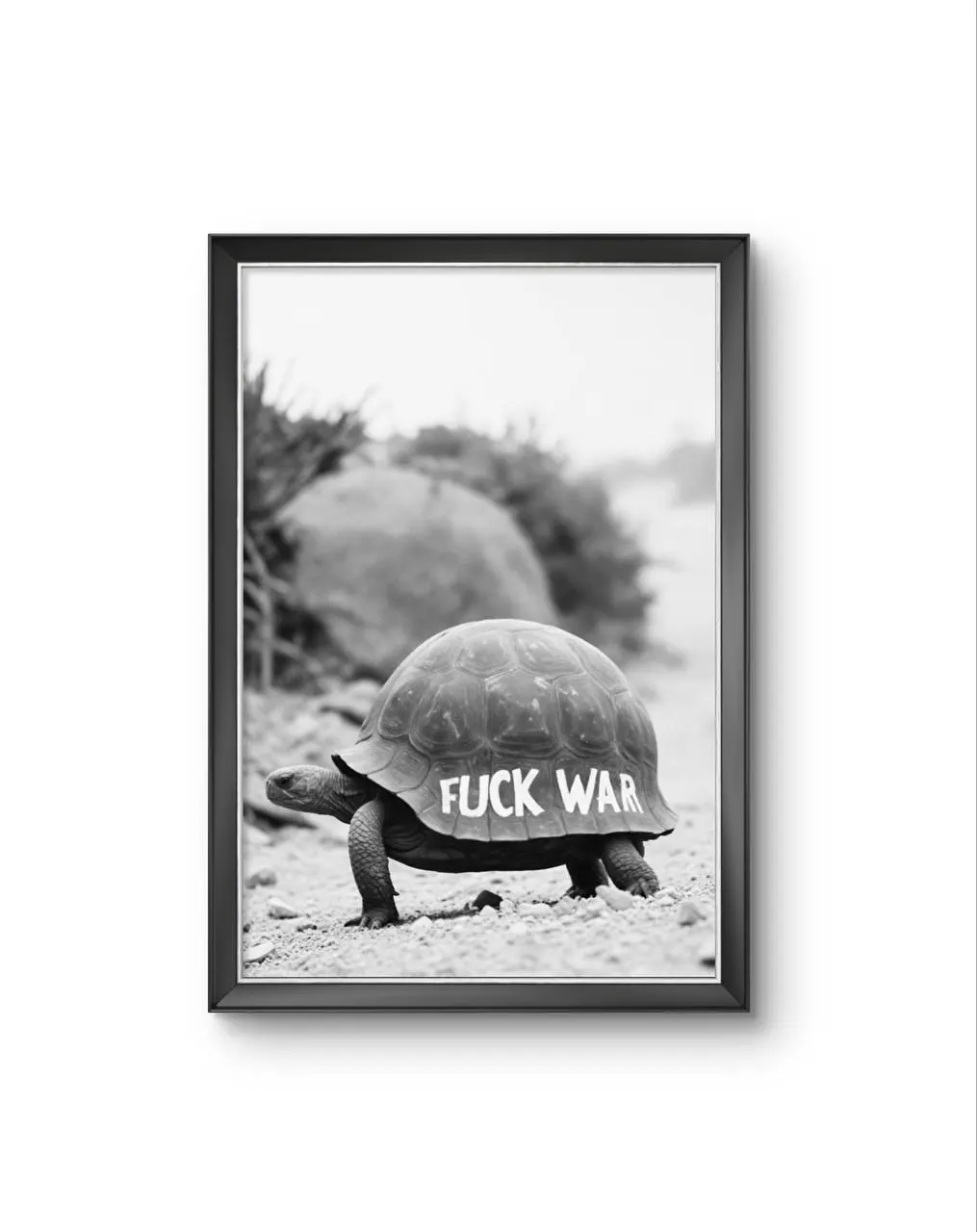 Bonaque - A Statement on the Shell — Fotografia fina impressão de arte por Bonaque