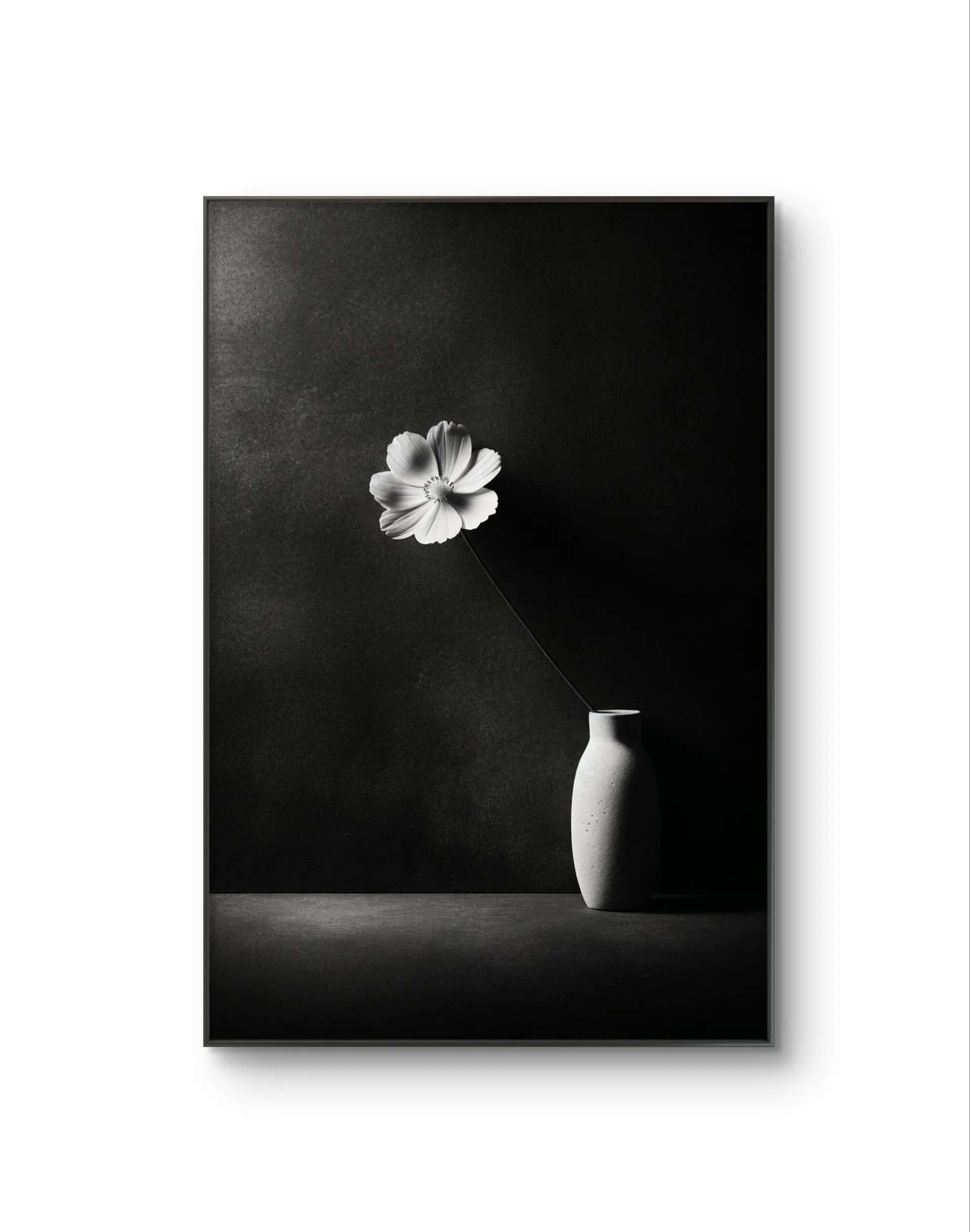 Bonaque - Elegance in Simplicity — Fotografia fina impressão de arte por Bonaque