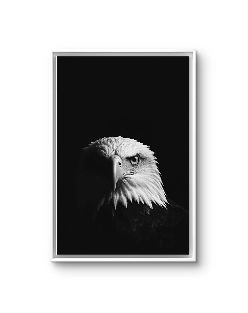 Bonaque - Majestic Sentinel — Fotografia fina impressão de arte por Bonaque
