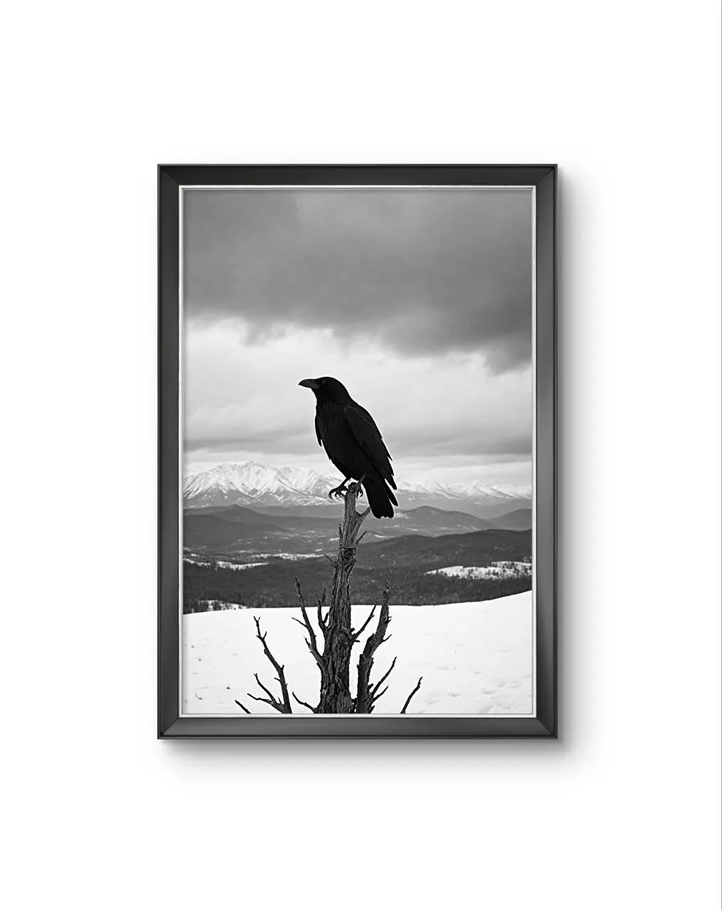 Bonaque - The Watchful Raven — Fotografia fina impressão de arte por Bonaque