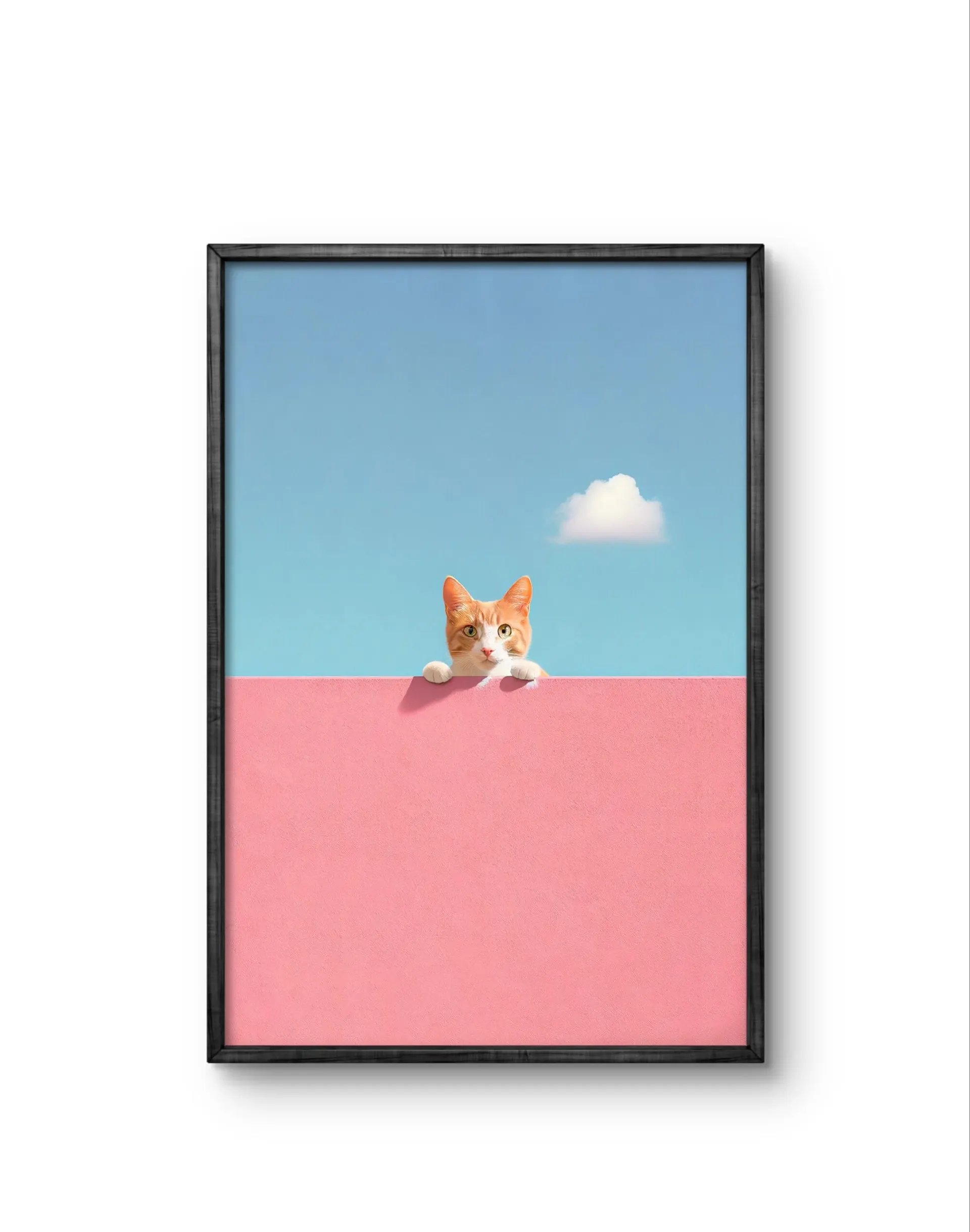 Lumivista - Curious Whiskers — Fotografia fina impressão de arte por Lumivista